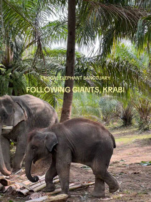 Image post by @thediaryofjen on TikTok
