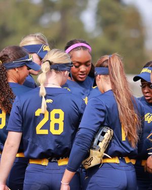 Image post by @calsb on Instagram