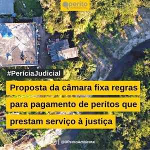 Image post by @operitoambiental on Instagram