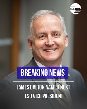 Image post by @lsutigertv on Instagram