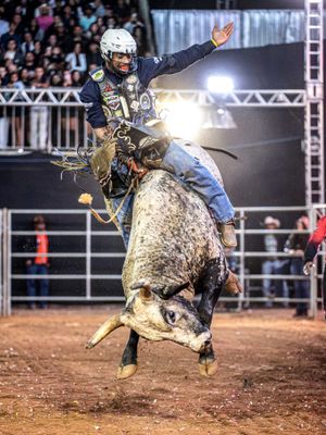 Image post by @pbrbrazil on Instagram
