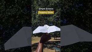 Video post by @kiwico on YouTube