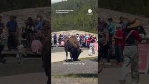 Video post by @accuweather on YouTube