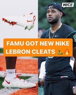 Image post by @nicekicksgridiron on Instagram