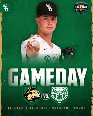 Image post by @wrightstate_baseball on Instagram