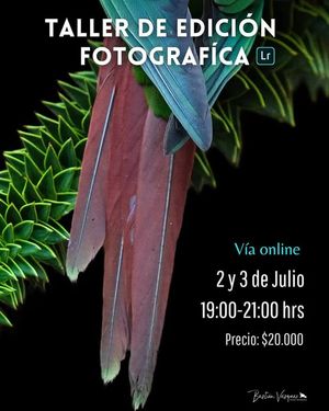 Image post by @fauna.patagonia on Facebook