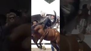 Video post by @officialcowboychannel on YouTube