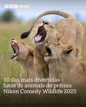 Image post by @bbcbrasil on Instagram