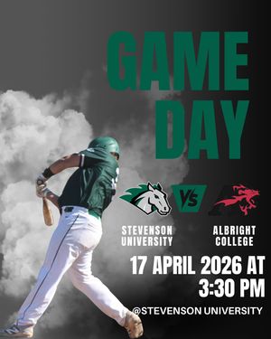 Image post by @stevensonbsb on Instagram
