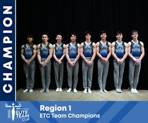 Image post by @USAGym on Twitter/X