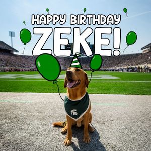 Image post by @michiganstateu on Instagram