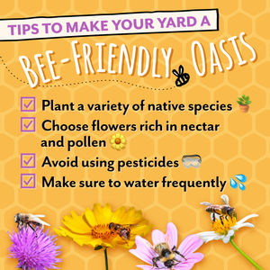 Image post by @honeyimhome on Instagram