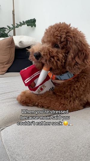 Video post by @tedflixnchill on TikTok
