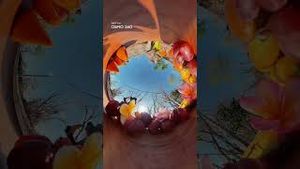 Video post by @dji on YouTube