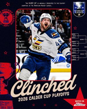 Image post by @theahl on Instagram