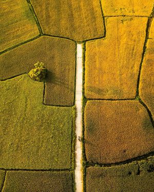 Image post by @droneartgallery on Instagram