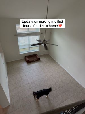 Image post by @booplethesnoot on Instagram