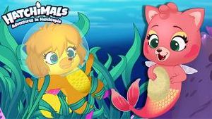 Video post by @hatchimals on YouTube