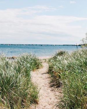 Image post by @kirstenalana on Instagram