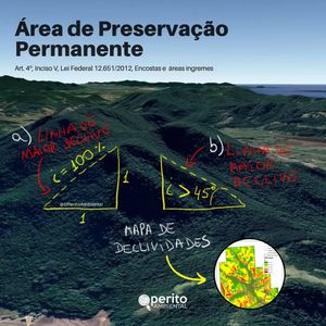 Image post by @operitoambiental on Instagram