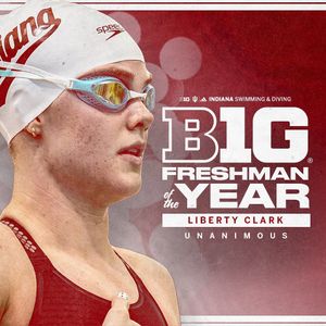 Image post by @indianaswimdive on Instagram