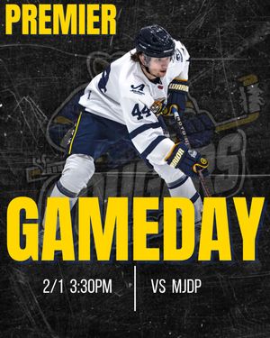 Image post by @chicagocougarshockey on Instagram