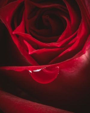 Image post by @Lathanuel Filliol Photography on Facebook