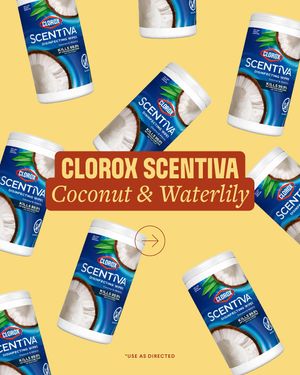 Image post by @clorox on Instagram