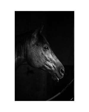 Image post by @mveldmanphoto on Instagram