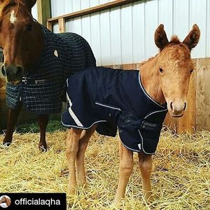 Image post by @prca_prorodeo on Instagram