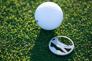Image post by @evolvegolf on Twitter