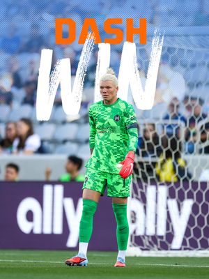 Image post by @houstondash on Instagram