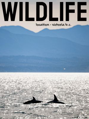 Image post by @tylerthecreator.jpeg on Instagram