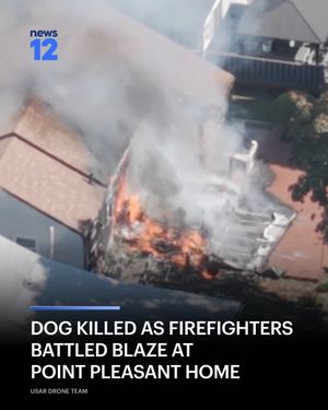 Image post by @news12nj on Instagram