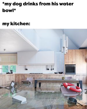 Image post by @mybenebone on Instagram