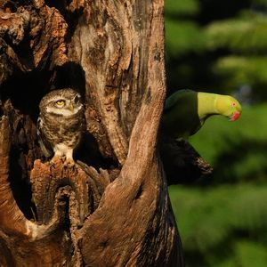 Image post by @hardik_wildlife_filmmaker on Instagram
