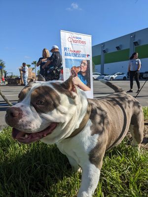 Video post by @petsmart on TikTok