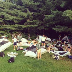 Image post by @ndwomenslax on Instagram