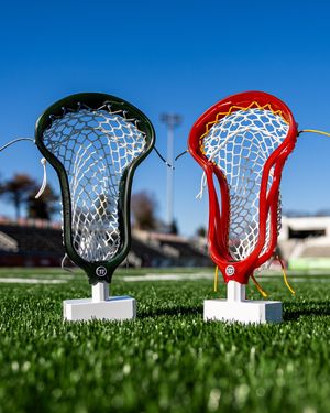 Image post by @warriorlax on Instagram