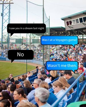 Image post by @voyagersbaseball on Instagram