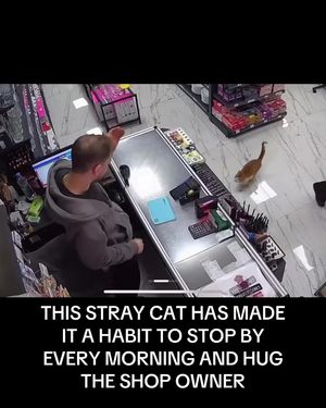 Video post by @complex on TikTok
