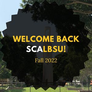 Image post by @scalbsu on Instagram