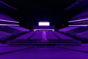 Image post by @UWAthletics on Twitter
