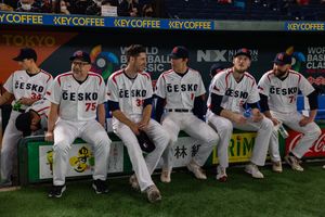 Image post by @BaseballCzech on Twitter