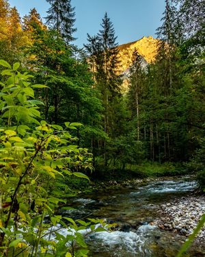 Image post by @cristan.nature.photography on Instagram