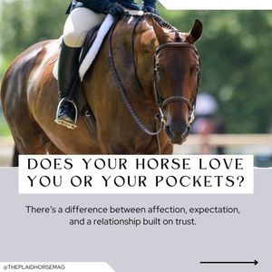 Image post by @theplaidhorsemag on Instagram