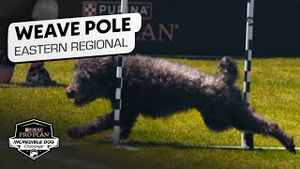 Video post by @nbcsports on YouTube