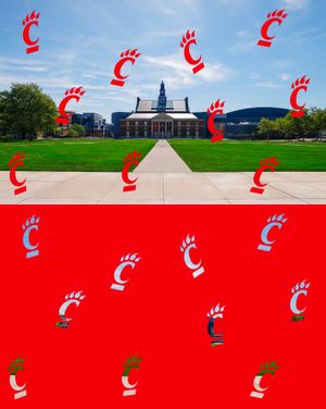 Image post by @uofcincy on Instagram