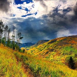 Image post by @pcski on Instagram