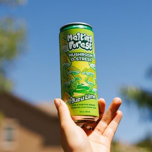 Image post by @meltingforest on Instagram